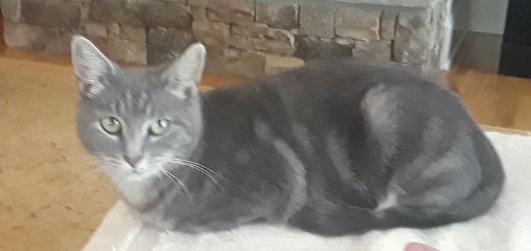 Poppy, a petite sweetheart